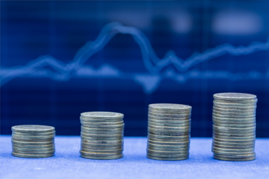 Transparent Cost 
Structure