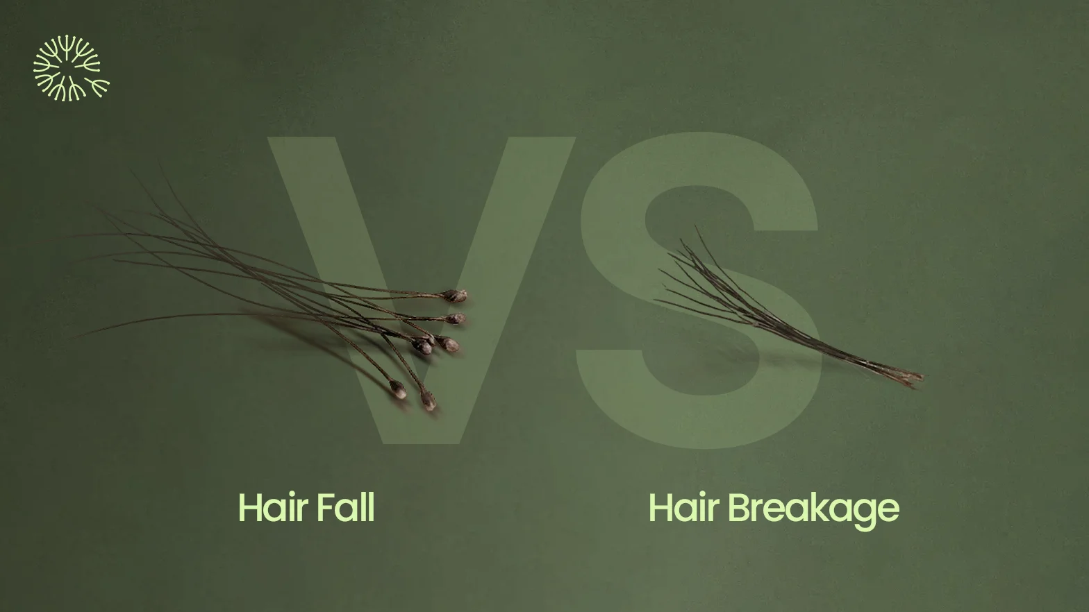 Hair Fall vs Hair Breakage: How To Tell The Difference