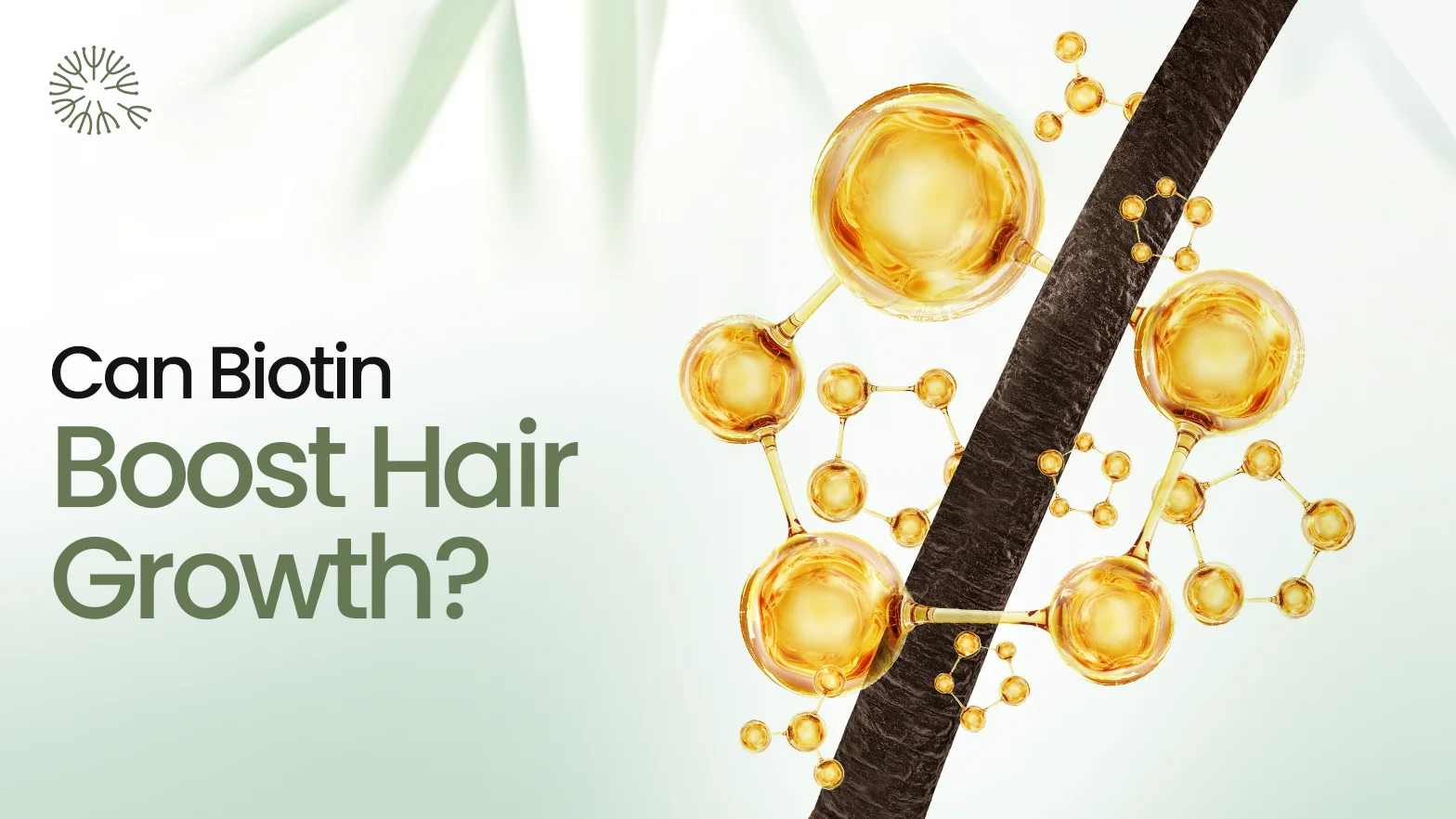Biotin for Hair: Does It Really Work?