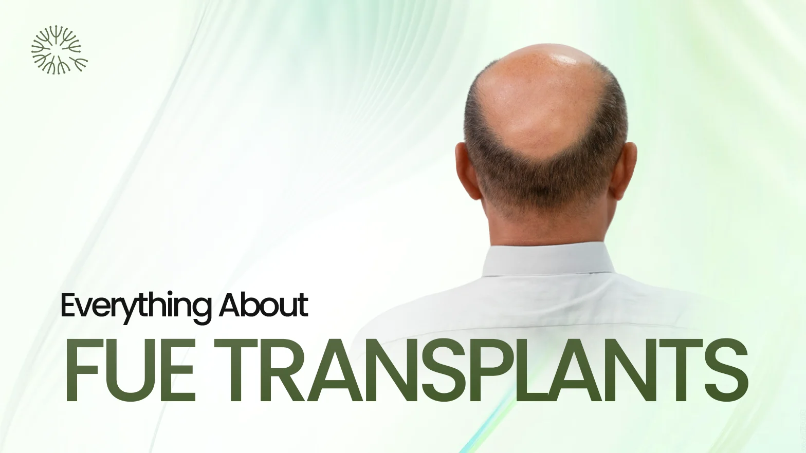 FUE Hair Transplant: How the Procedure, Results, and Recovery Work