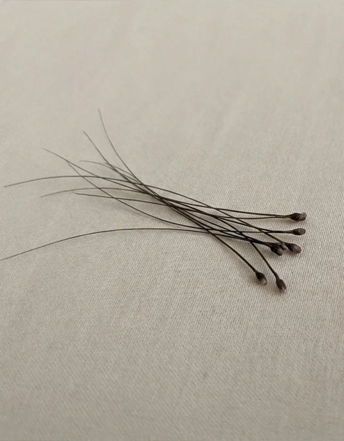 How to Calculate Your Hair Transplant Budget?